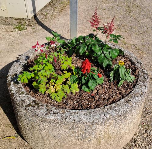 fleurs